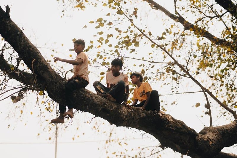 Construire une cabane pour enfants dans votre jardin en toute sécurité en 2026